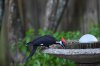 DSC_1428.jpeg