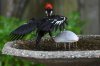 DSC_1574.jpeg