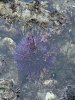 upload_2024-6-6_17-42-18.jpeg