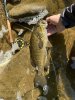 IMG_4120.jpeg