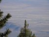 westernmojave.JPG