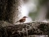 DSC_0289.jpeg