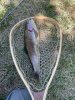 IMG_2466.jpeg