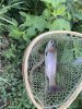IMG_8816.jpeg