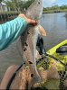 IMG_7632.jpeg