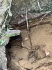 IMG_1810.jpeg