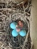 IMG_2078.jpeg