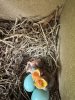 IMG_2084.jpeg