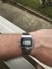 IMG_7891.jpeg