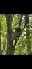 upload_2024-7-23_15-26-46.jpeg