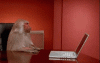E2D54C59-79D7-4877-8A14-0ACB438650C1.gif