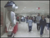 upload_2024-7-27_16-17-28.gif