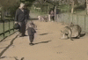 upload_2024-7-29_14-51-54.gif
