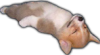 ded.png