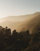 IMG_1646.jpeg