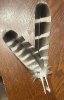 Feathers.jpg
