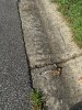IMG_2703.jpeg