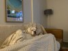 IMG_0654.jpeg