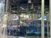 IMG_0138.jpeg