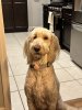 IMG_8477.jpeg