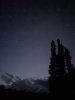 E453BD9E-FDAC-43DF-97A4-DBCB1F68B4E2.jpeg