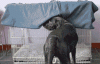 IMG_7507.gif