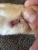 IMG_8568.jpeg