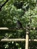 IMG_3671.jpeg