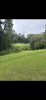 IMG_0098.png
