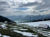 IMG_8707.jpeg