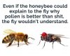 IMG_4741.jpeg