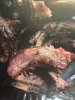 IMG_4894.jpeg