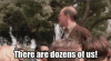 upload_2024-10-16_8-35-7.gif