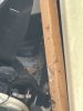 IMG_8408.jpeg