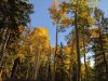 PXL_20241017_001742941.jpg
