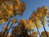 PXL_20241017_001829769.jpg