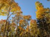 PXL_20241017_001956803.jpg