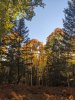 PXL_20241017_002202723.jpg