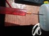 IMG_8995.jpeg