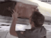 B5B5DE68-0A45-453A-933F-1B685EF95432.gif