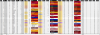 upload_2024-11-27_8-46-2.png