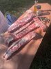 IMG_4473.jpeg
