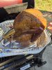 IMG_20241128_172327.jpg