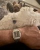 IMG_1784.jpeg