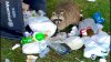 upload_2024-11-28_19-21-7.jpeg