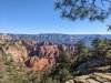 PXL_20241207_175120081.jpg