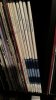 IMG_8147.jpeg