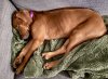 IMG_5545.jpg