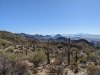 PXL_20241230_180927940.jpg