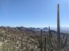PXL_20241230_181927169.jpg